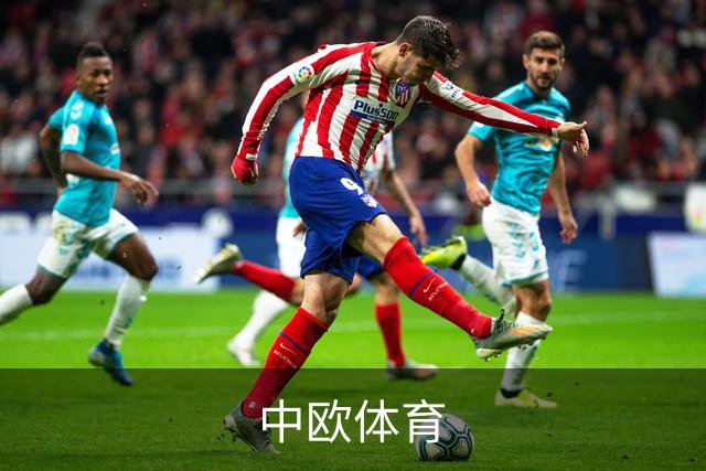 关于中欧体育